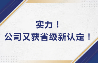 實力！公司又獲省級新認定