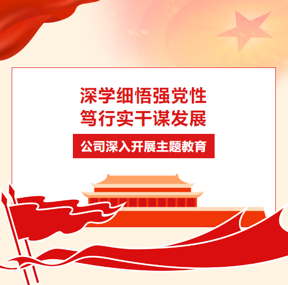 深學(xué)細(xì)悟強(qiáng)黨性 篤行實(shí)干謀發(fā)展 | 公司深入開(kāi)展主題教育